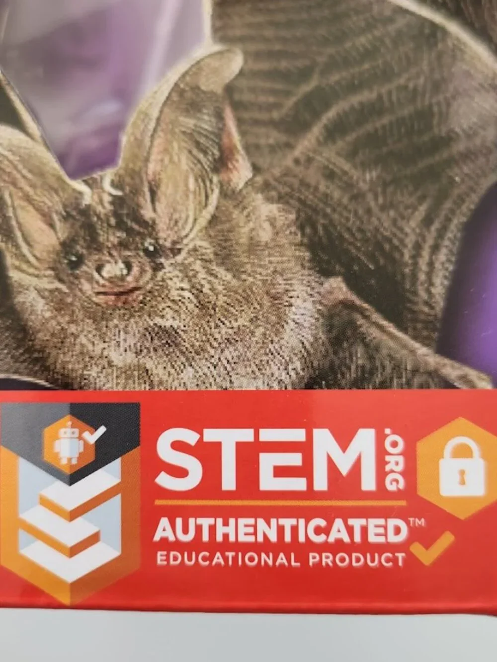 NEW Dissect-it Synthetic Lab Dissection Toy STEM KIT CRAFT Project Bat Biology A